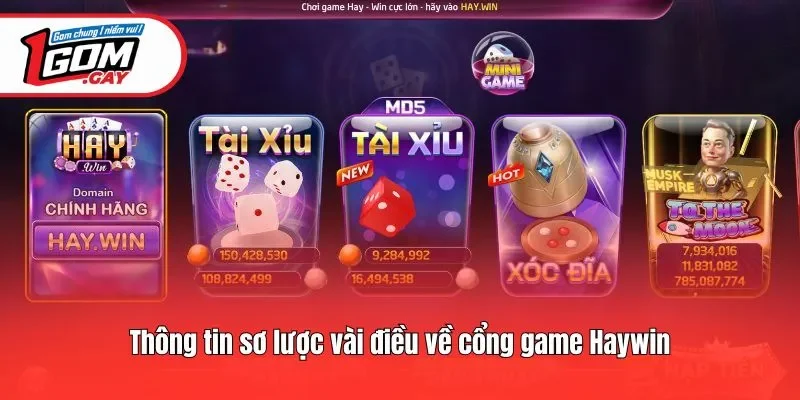 Thông tin sơ lược vài điều về cổng game Haywin